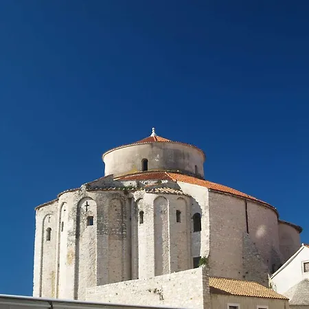 Evergreen Zadar