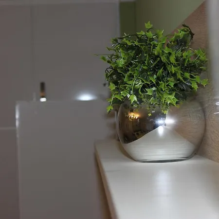 Evergreen Apartment